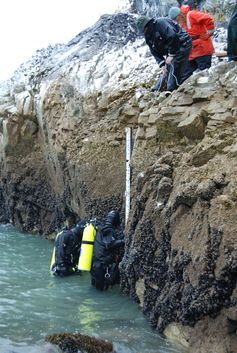 Illustration for article titled How Do You Measure a Sea’s Level, Anyway?